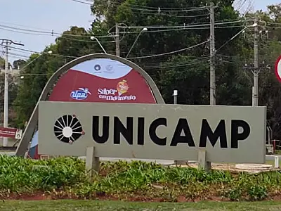 Cursos livres on-line oferecidos por USP, Unicamp e Centro Paula Souza ensinam várias capacitações