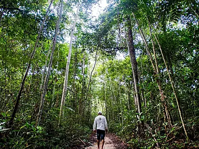Coordenador de reserva na Amazônia é retirado da região após ameaças de garimpeiros