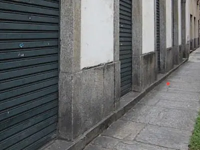 Prédios históricos de Santos conservam fósseis marinhos de até 400 milhões de anos