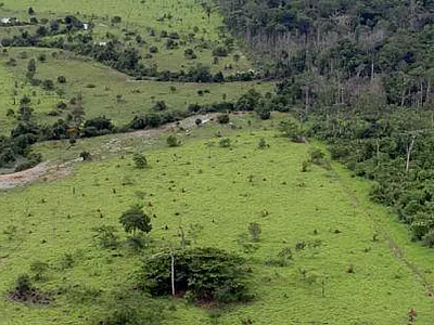 Aberto o prazo para entrega da Declaração do Imposto Territorial Rural