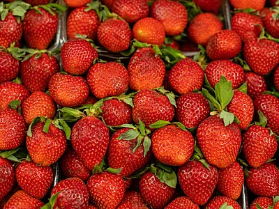 Festa do Morango agita Bertioga com três dias de atrações, sabores e diversão para toda a família