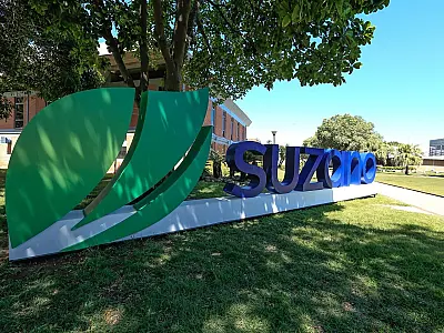Suzano abre inscrições para Programa de Estágio Superior 2026