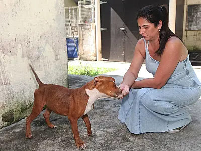 Abril Laranja: Santos age e pede reflexão na prevenção contra a crueldade animal