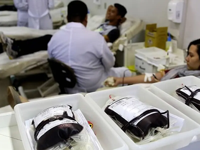 Mais de 789 mil bolsas de sangue foram coletadas em São Paulo em 2024