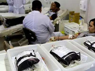 Mais de 789 mil bolsas de sangue foram coletadas em São Paulo em 2024