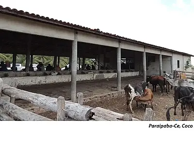 Mais de 2,8 mil pessoas deixam trabalho análogo à escravidão