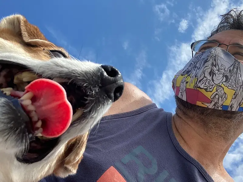 Comerciante resgata animais que aparecem em sua loja em Guarujá e auxilia pessoas a encontrarem seus