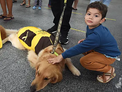 Cães terapêuticos, Briosa e Jabuca, alegram pacientes e funcionários da UPA Quietude