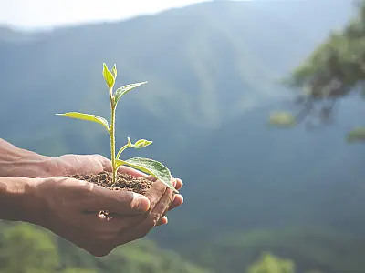 Abertas as inscrições para a Maratona Brasil pela Educação Climática