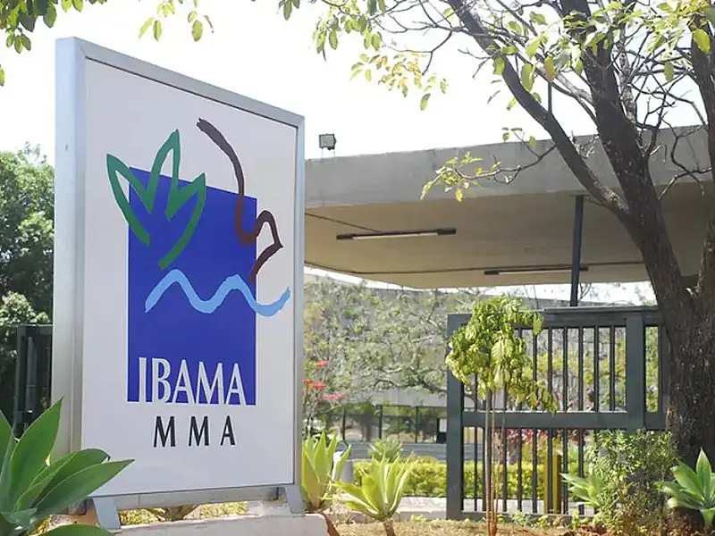 Inscrições para 460 vagas de concurso do Ibama estão abertas