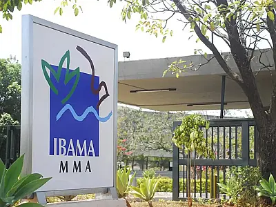 Inscrições para 460 vagas de concurso do Ibama estão abertas