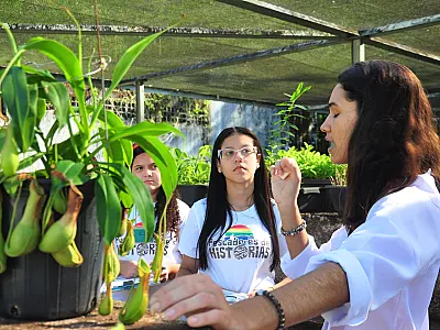 Projeto social cubatense abre 80 vagas gratuitas para oficinas ambientais e culturais