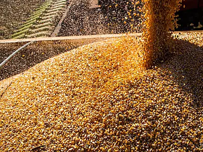 Após 6 anos, Conab retoma política de estoques públicos de alimentos
