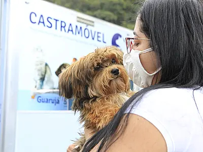 Guarujá realiza mutirão de cadastros para castração animal