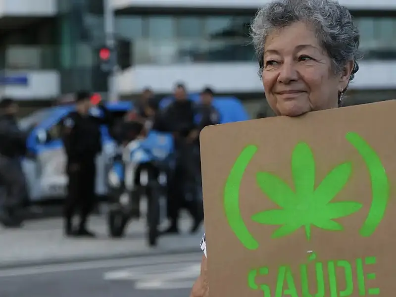 Anvisa defende manutenção de marco regulatório para cannabis medicinal