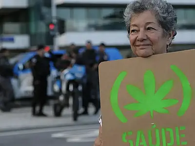 Anvisa defende manutenção de marco regulatório para cannabis medicinal