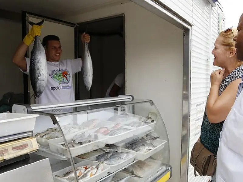 Caminhão do peixe retoma serviços em janeiro