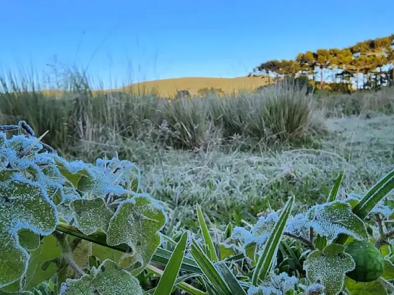 Massa polar trará frio e geada para o Brasil na próxima semana