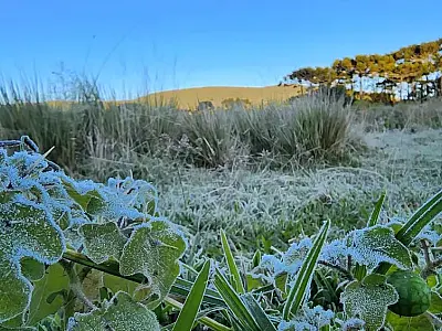 Massa polar trará frio e geada para o Brasil na próxima semana