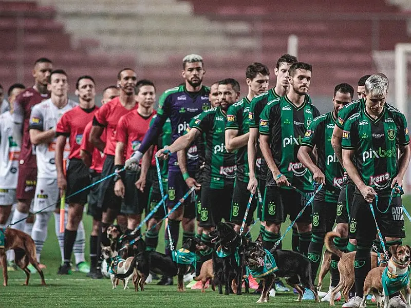 Jogadores entram com cães para adoção em partida