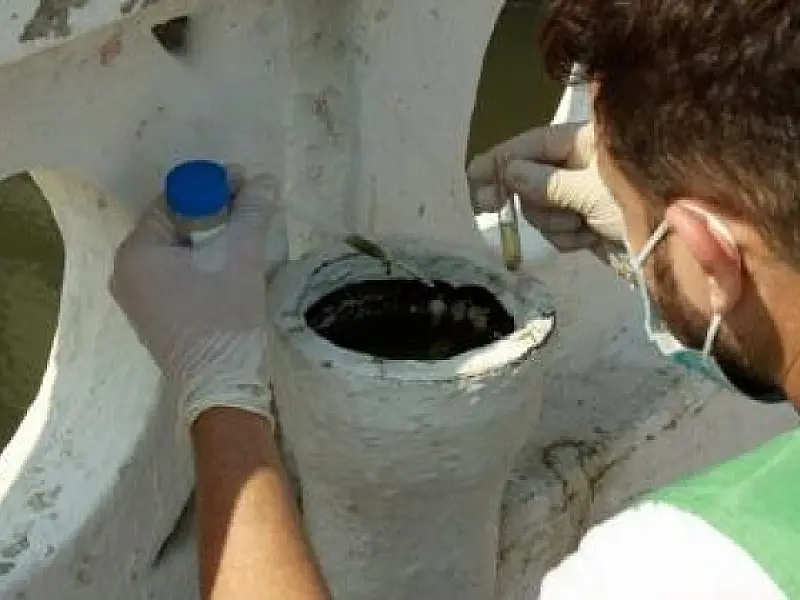 Ação elimina oito focos de Aedes aegypti na orla de Santos