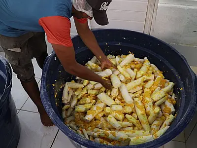 Agricultura familiar pode melhorar merenda escolar indígena