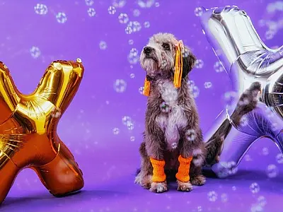 Xuxa só para cãezinhos: dinâmica da Petlove chega a Santos