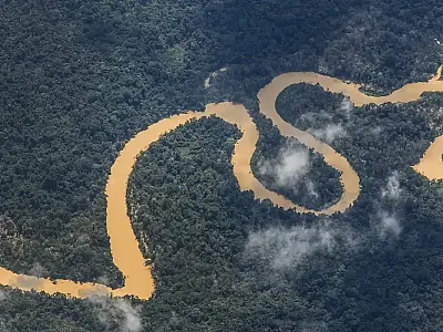 Noruega anuncia mais R$ 245 milhões para o Fundo Amazônia