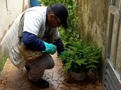 Guarujá realiza mutirão e nebulização contra a dengue em 5.453 imóveis a partir de segunda (17)