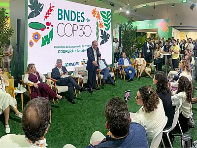 Brasil anuncia R$ 107 milhões para bioeconomia amazônica por meio do programa Coopera+ Amazônia