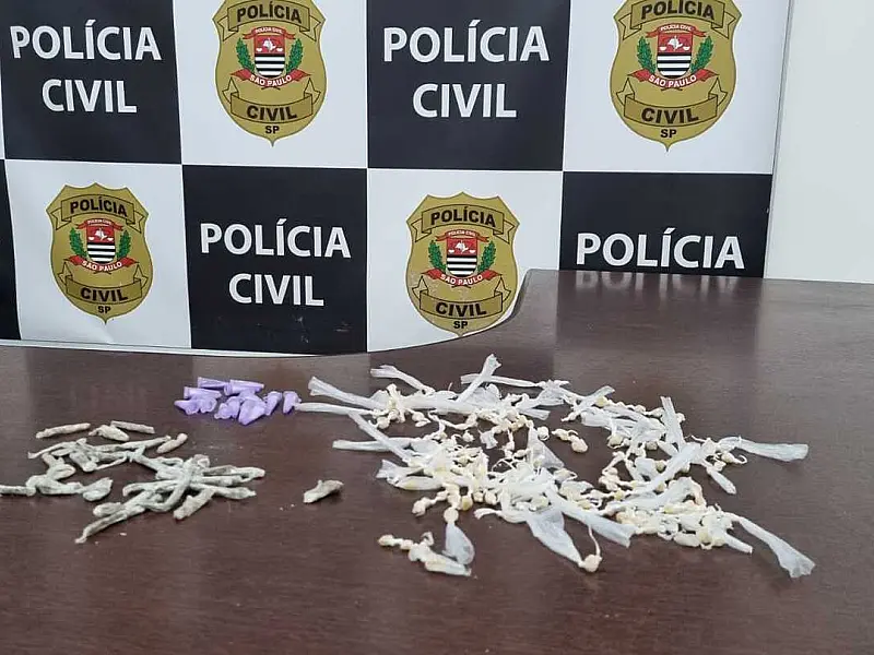 Polícia Civil apreende mais de 200 porções de drogas no litoral sul