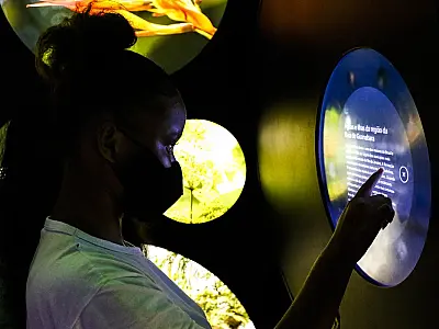 Apenas uma em quatro pessoas com deficiência conclui o ensino básico