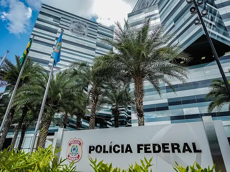 Operação combate desmatamento criminoso na Amazônia Legal