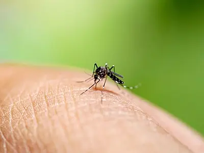 Governo de São Paulo destina R$ 10,6 milhões para intensificar o combate à dengue