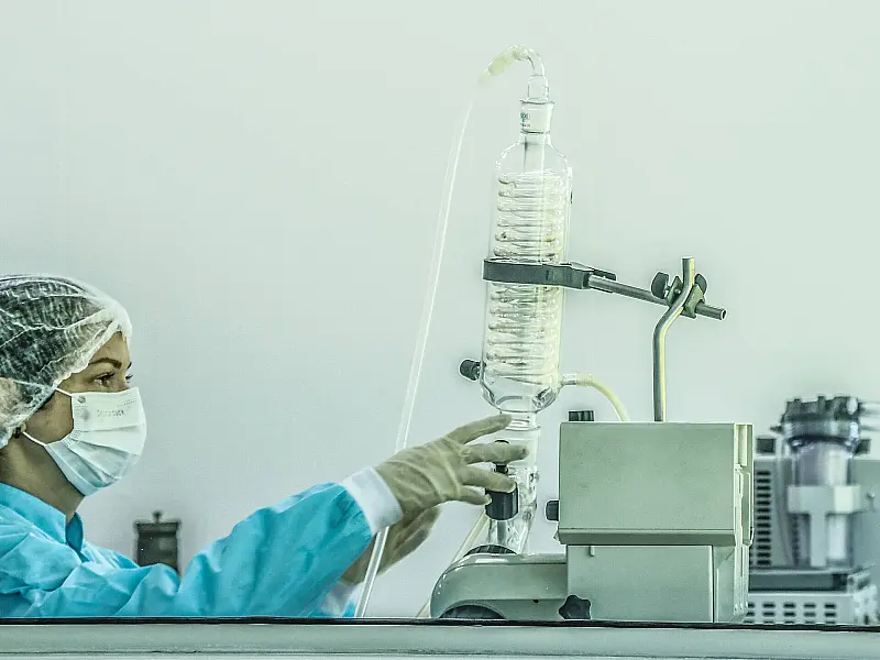 Brasileiro deve começar a receber transplante de órgãos de porcos a partir de 2025