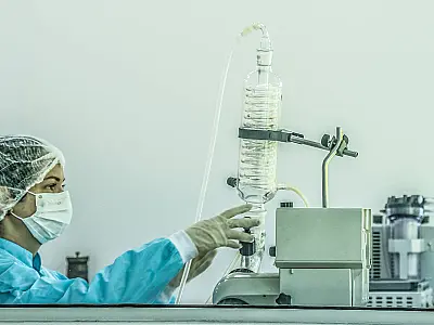 Brasileiro deve começar a receber transplante de órgãos de porcos a partir de 2025