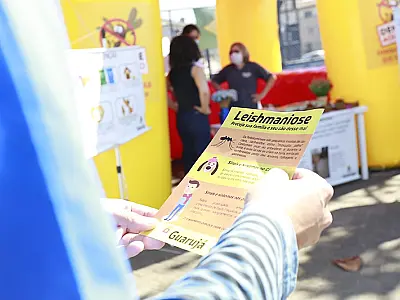 Cidade de Guarujá coleta materiais para amostra de leishmaniose para prevenção