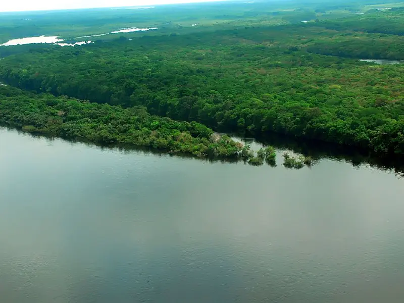 Governo lança operação contra o desmatamento na Amazônia