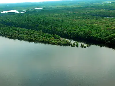 Governo lança operação contra o desmatamento na Amazônia