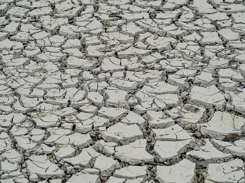Estiagem: quinze cidades têm situação de emergência decretada