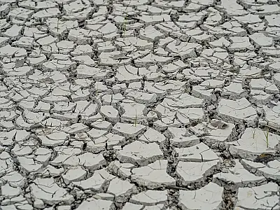 Estiagem: quinze cidades têm situação de emergência decretada