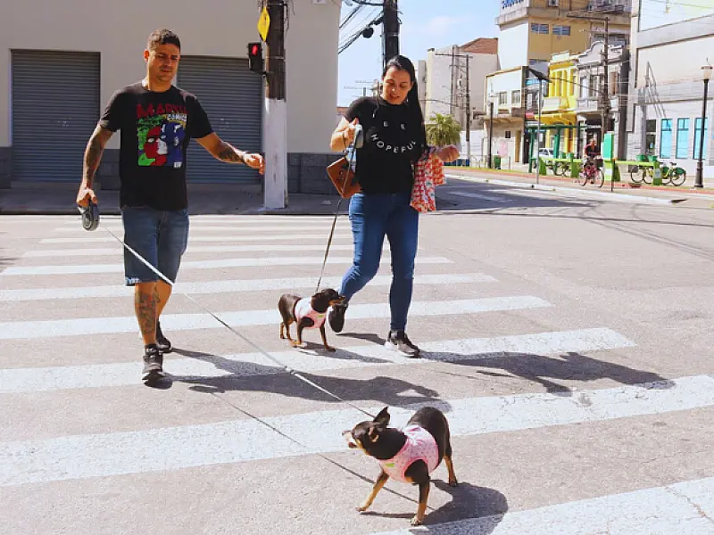 Mais 110 pets estão protegidos contra a raiva. Vacinação ocorre toda quarta em Santos