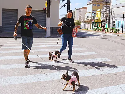 Mais 110 pets estão protegidos contra a raiva. Vacinação ocorre toda quarta em Santos