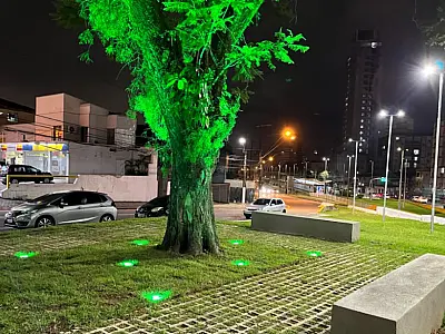 Praça da Árvore é entregue e se transforma em ponto turístico para famílias
