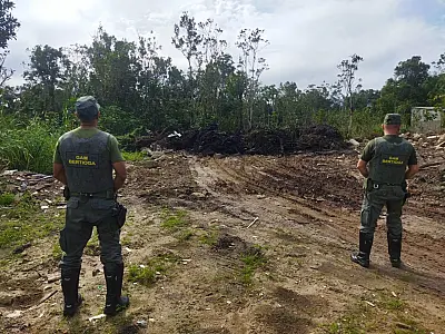 Bertioga segue realizando Força-Tarefa que visa garantir o equilíbrio do meio ambiente