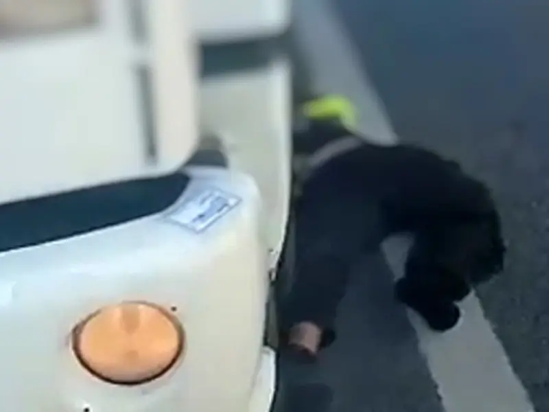Motorista é atropelado em rodovia logo após fazer conserto embaixo de carreta