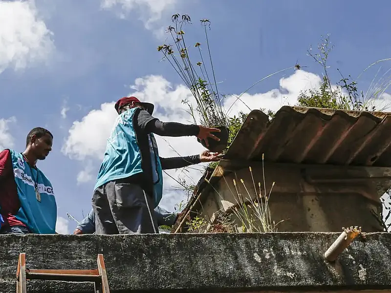 Saúde reforça monitoramento e ações de controle da dengue em 4 estados