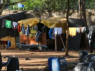 Reorganização do Bolsa Família é prioridade do Desenvolvimento Social
