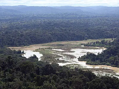 Colapso da Amazônia está mais próximo do que se pensava, aponta estudo