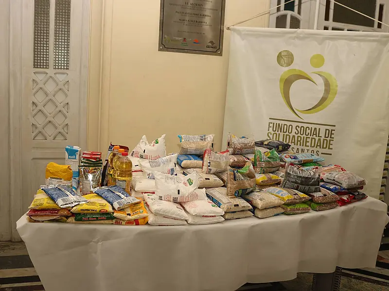 Fundo Social de Santos recebe mais de duas toneladas de alimentos arrecadadas em show